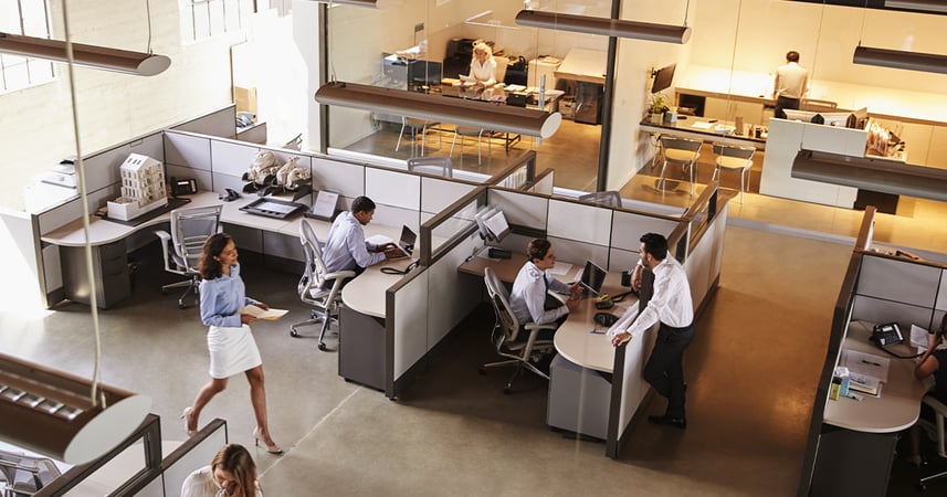 busy office with people working at cube-style workstations 