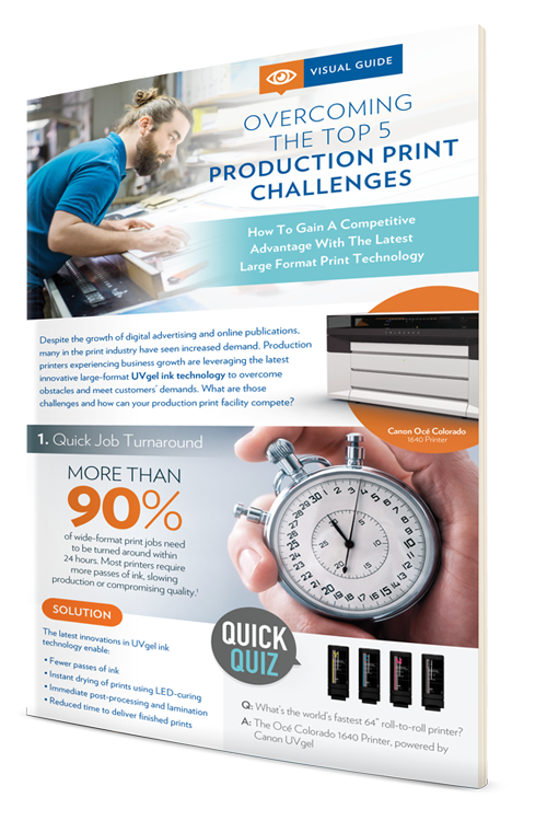 Production_Print_Challenges_LP_Image-500x750