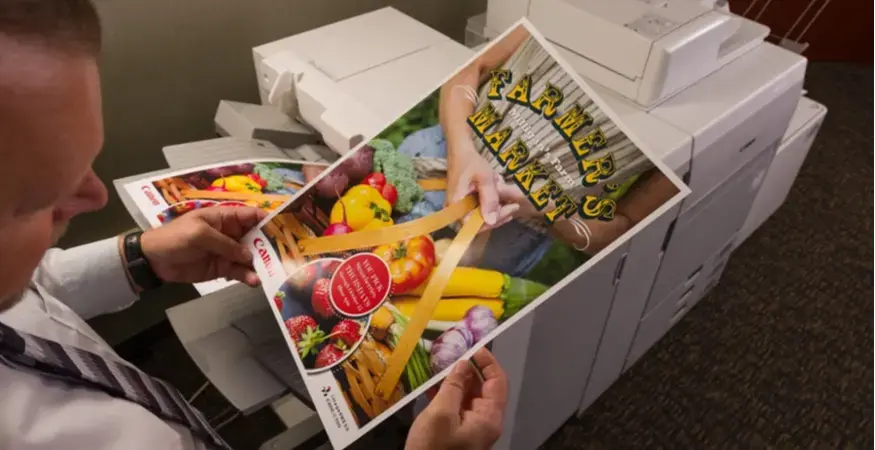 printed paper flyer