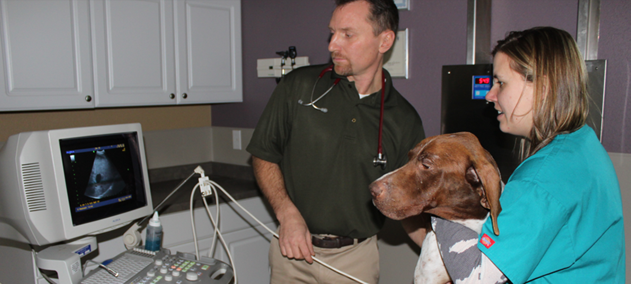 Case study creature care animal clinic picture